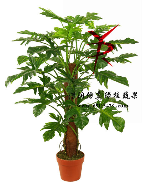100CM-椰衣筒小天使