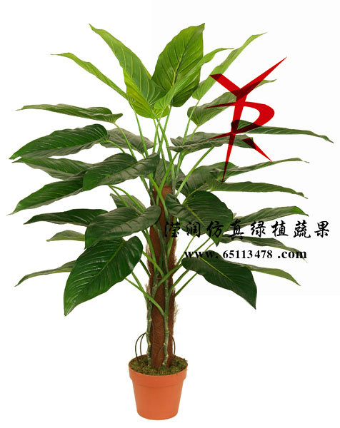 110CM-椰衣筒绿钻石