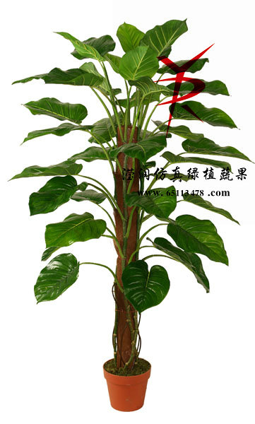 130CM-椰衣筒绿萝