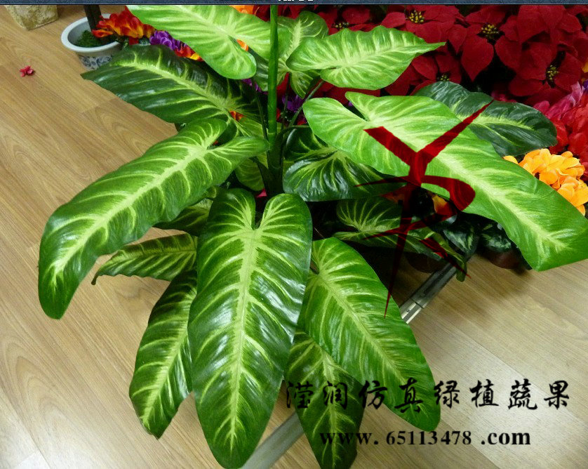 18叶象儿