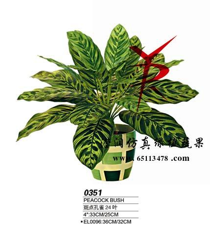 24叶天鹅绒