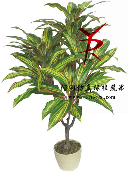 80CM-5叉黄金铁