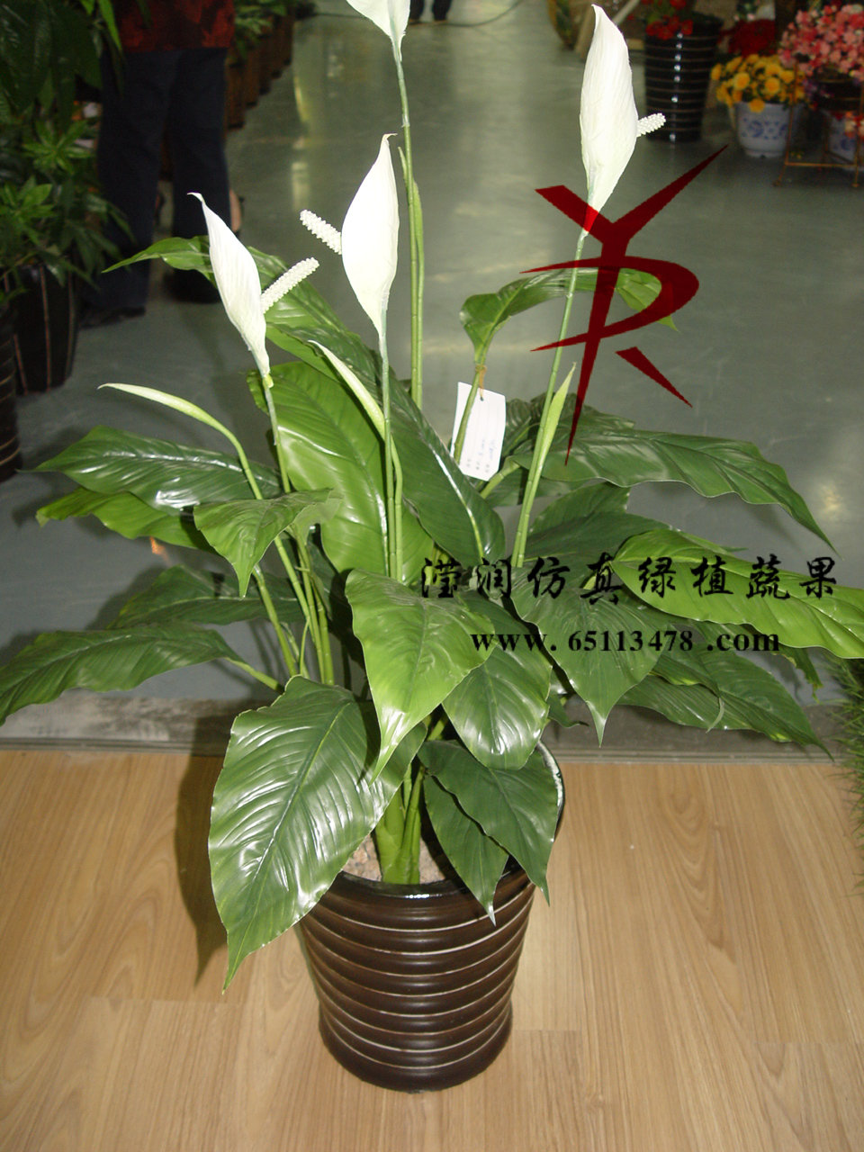 80公分四杆一帆风顺