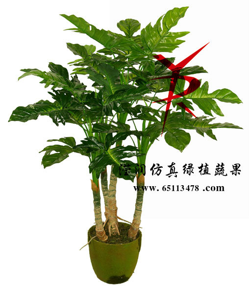 90CM-四枝组合小天使