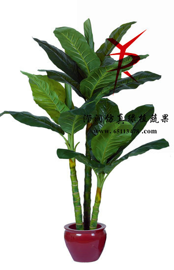 大富豪组合