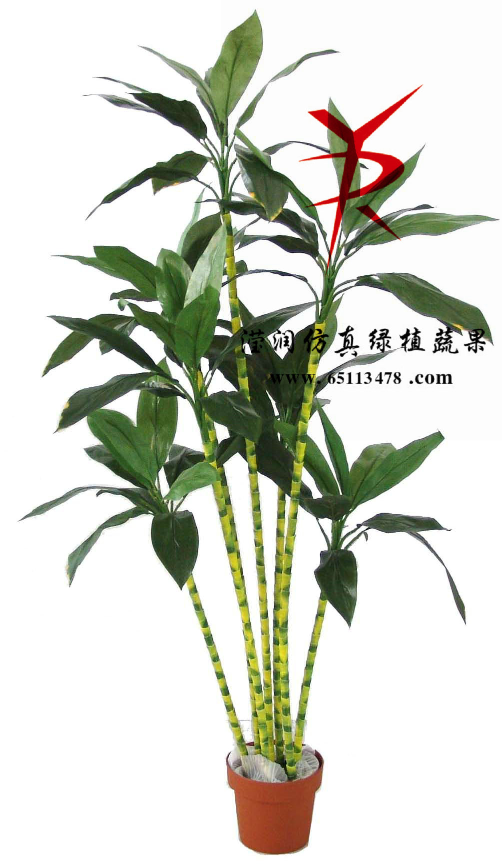 绿铁77-7