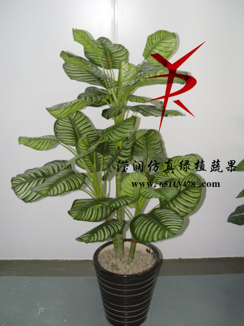 三杆苹果树