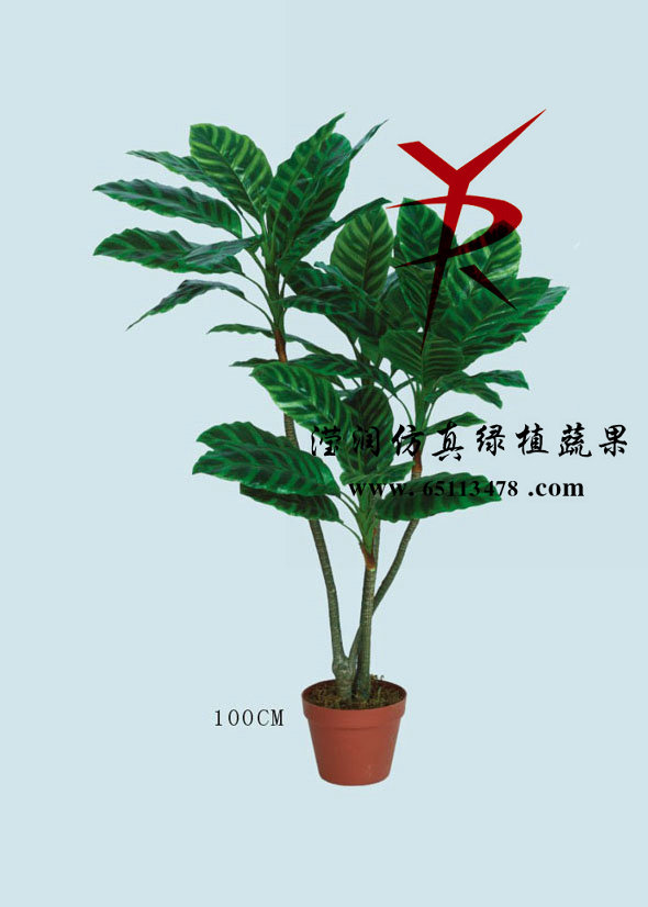 天鹅绒