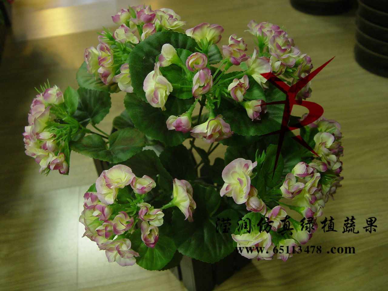 20公分把束海棠紫花