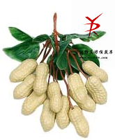 串12花生