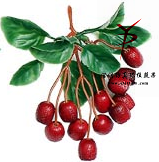 串12小地捻