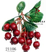 串12小石榴