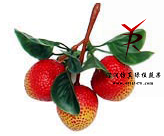 串三鲜色荔枝