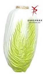大白菜