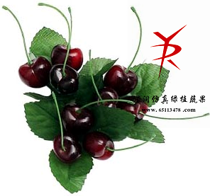 圈12车厘子3＃
