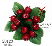 圈12红苹果