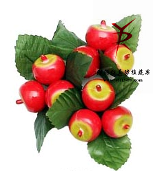 圈9红苹果