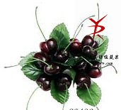 圈车厘子2#