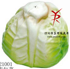 青包菜