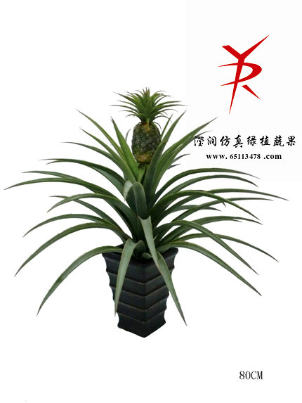 80CM菠萝