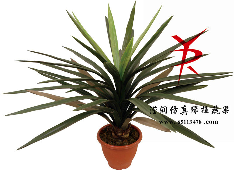 95CM-新剑麻兰